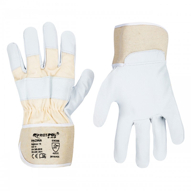 RĘKAWICE PADWA (12 PAR)